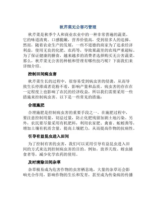 秋芹菜无公害巧管理