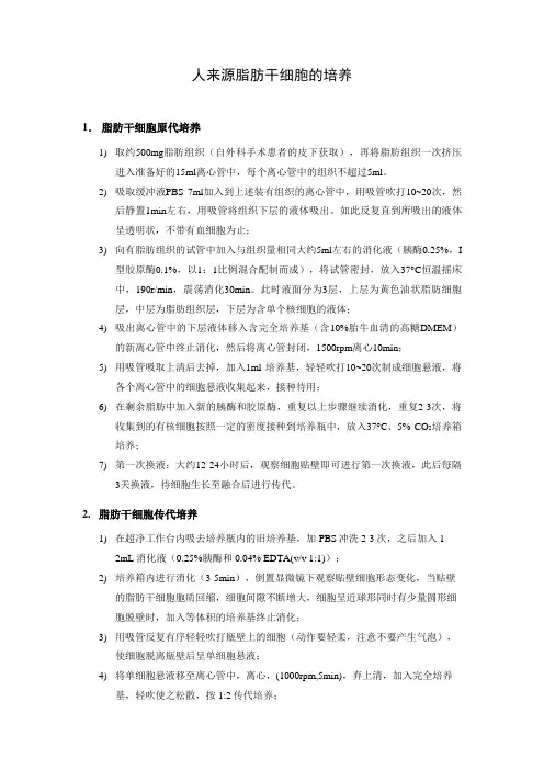 人来源脂肪干细胞的培养