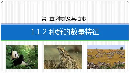 种群的数量特征(第2课时)课件 高二上学期生物人教版选择性必修2