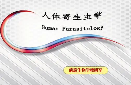 最新 刚地弓形虫