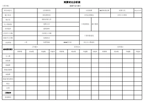 两算对比分析表格