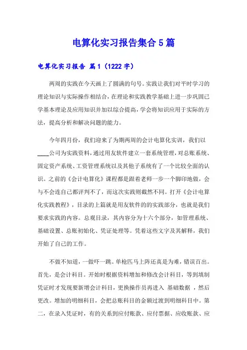 电算化实习报告集合5篇