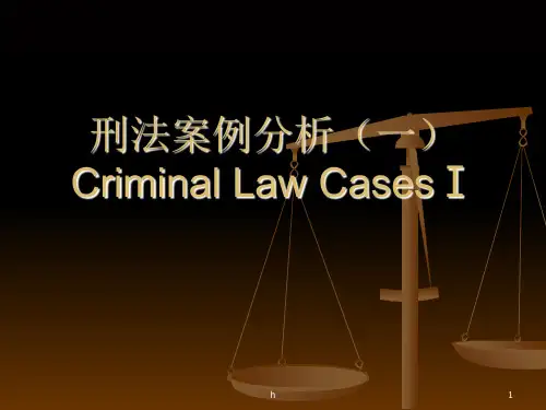 《刑法案例分析》PPT课件