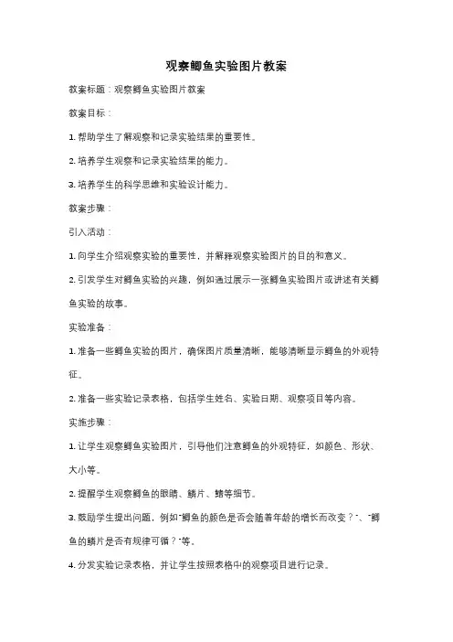 观察鲫鱼实验图片教案