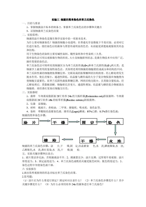 实验三 细菌的简单染色和革兰氏染色