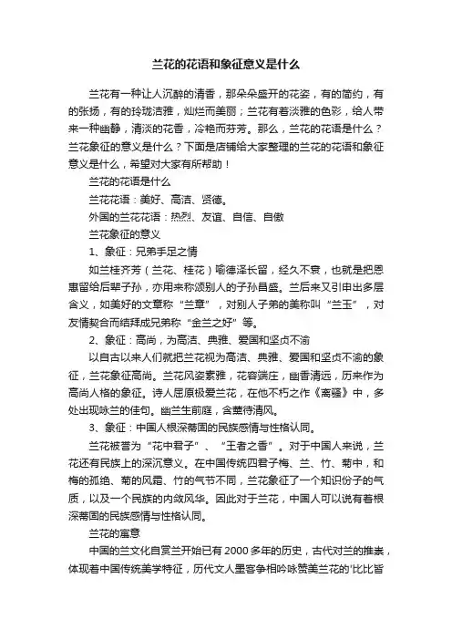 兰花的花语和象征意义是什么