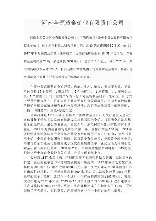 河南金源黄金矿业有限责任公司