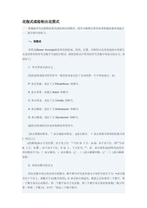植物花程式和花图式的绘制