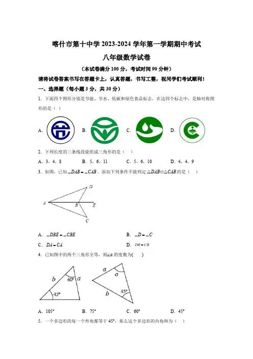 新疆维吾尔自治区喀什地区喀什市第十中学2023-2024学年八年级上学期期中数学试题(含解析)