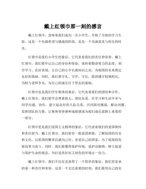 戴上红领巾那一刻的感言