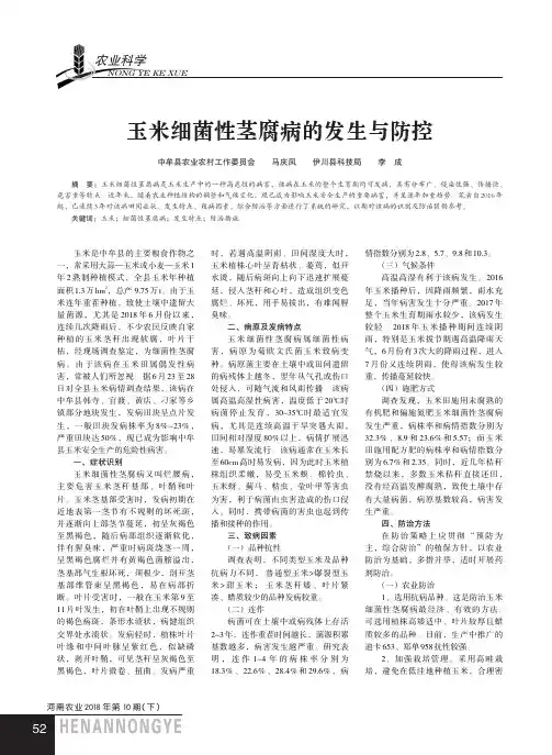 玉米细菌性茎腐病的发生与防控