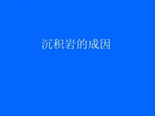 沉积岩石学