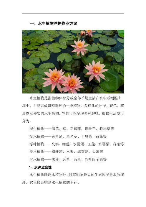 水生植物养护作业方案