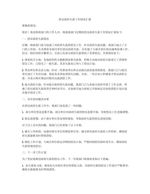 偿还政府欠款工作情况汇报