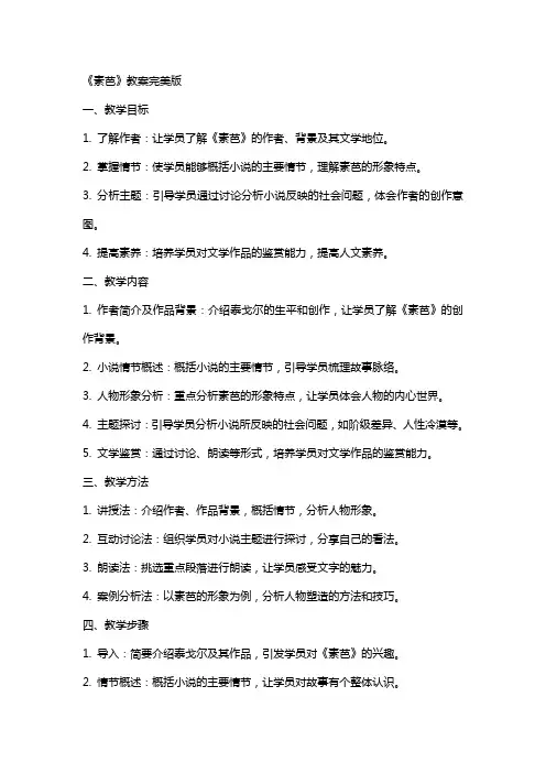 《素芭》教案完美版