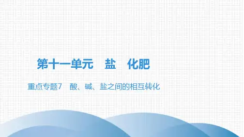 最新人教版九年级全一册化学第十一单元 盐 化肥重点专题7 酸、碱、盐之间的相互转化