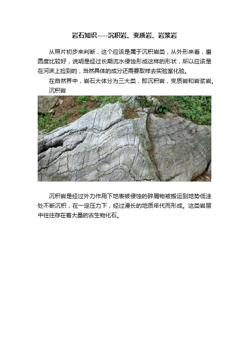 岩石知识----沉积岩、变质岩、岩浆岩