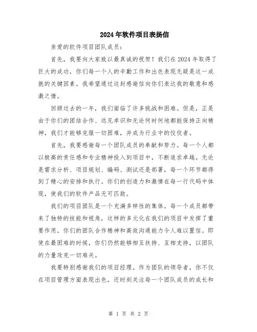2024年软件项目表扬信