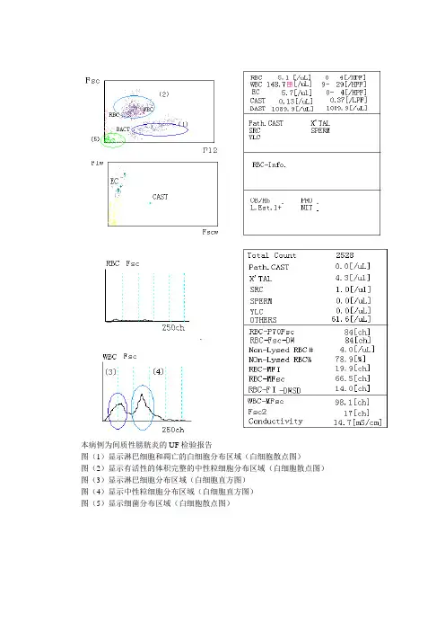 尿沉渣病理图