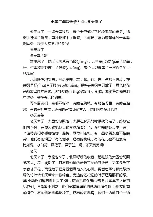 小学二年级看图写话-冬天来了