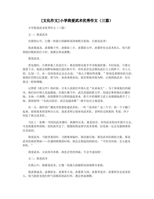 [文化作文]小学我爱武术优秀作文(三篇)