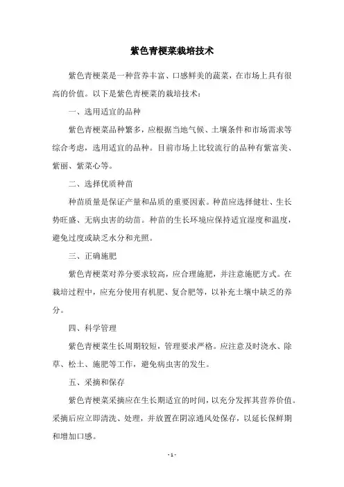 紫色青梗菜栽培技术