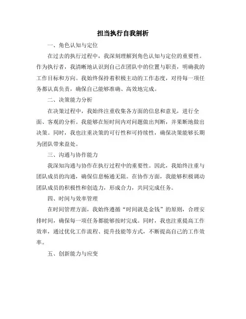 担当执行自我剖析