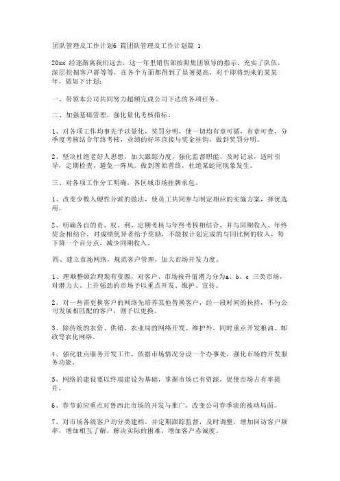 团队管理及工作计划6篇