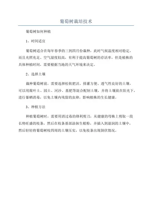 葡萄树栽培技术