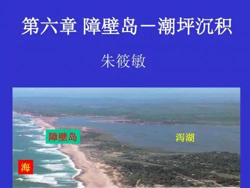 沉积相讲课-6潮坪讲课