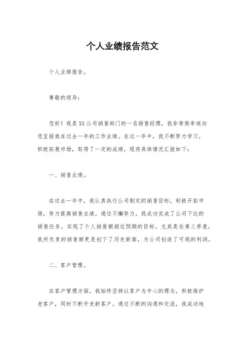 个人业绩报告范文