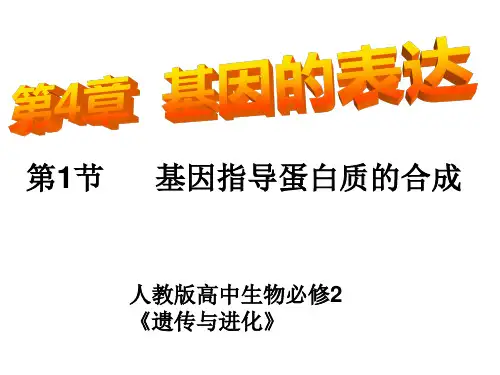 高中生物必修二第四章 基因的表达(整章课件)