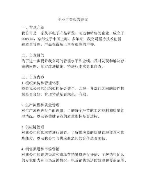 企业自查报告范文