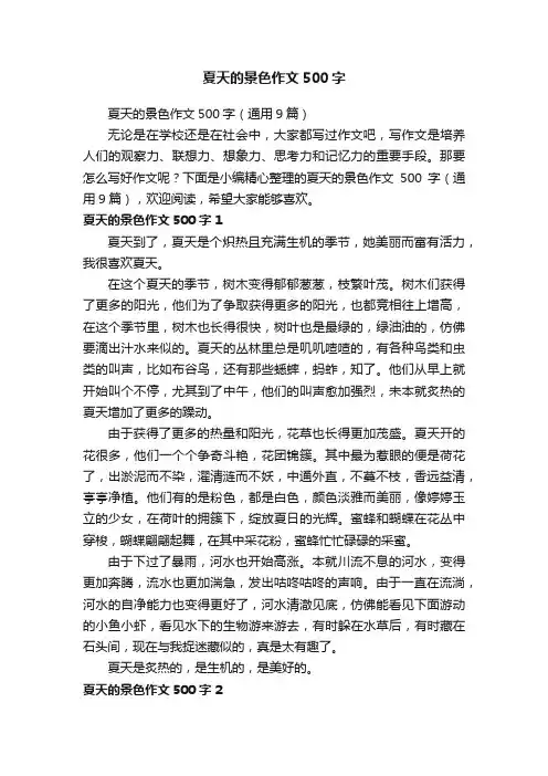 夏天的景色作文500字