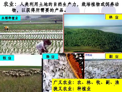 农业区位因素及其变化