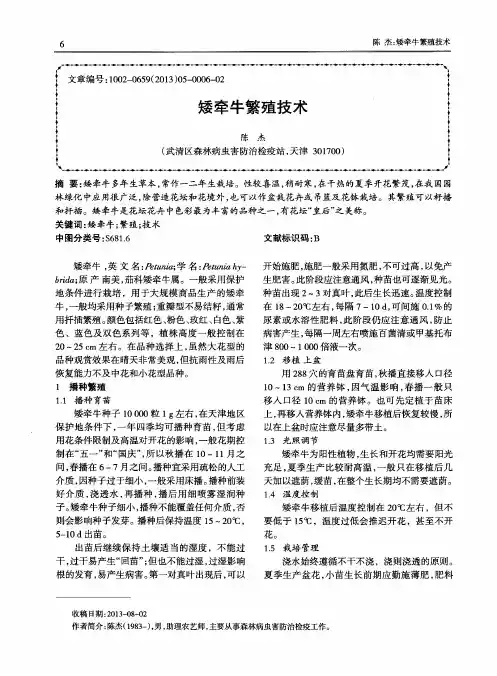 矮牵牛繁殖技术