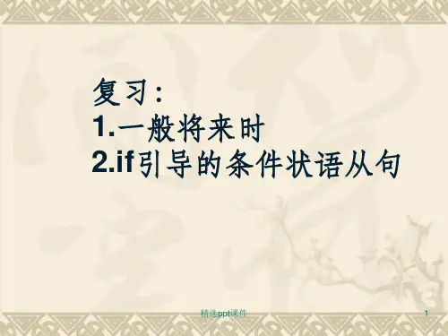 复习一般将来时ppt课件