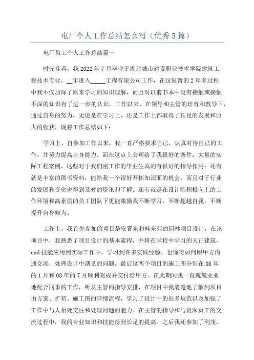 电厂个人工作总结怎么写(优秀5篇)