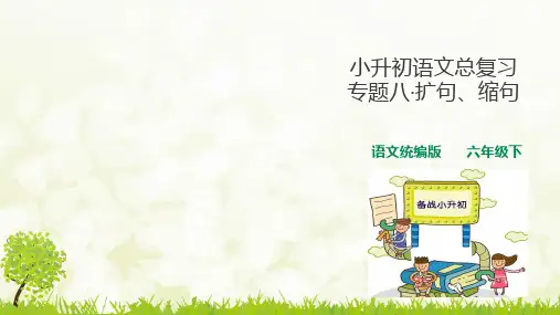 人教统编版小升初语文总复习专题(扩句、缩句、仿写+修改病句)PPT课件