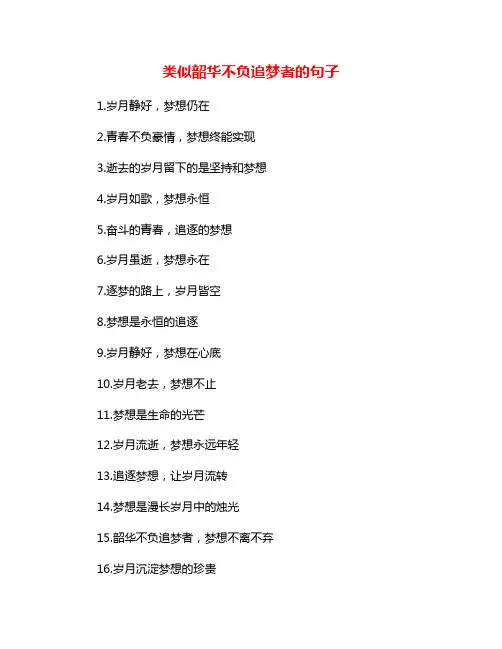 类似韶华不负追梦者的句子