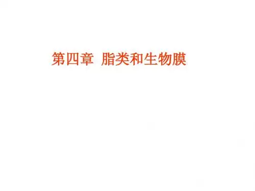 《生物化学》05  脂类与生物膜