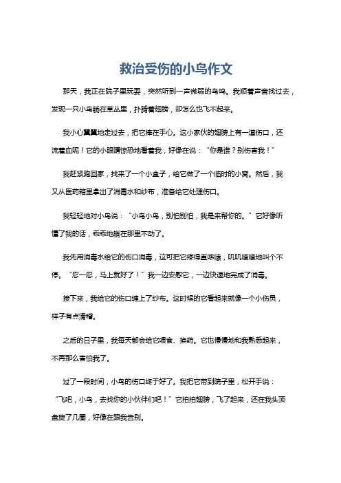 救治受伤的小鸟作文