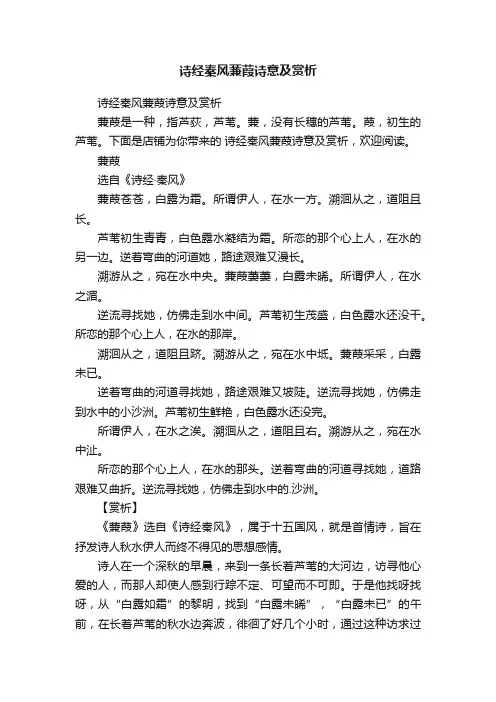 诗经秦风蒹葭诗意及赏析