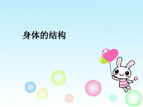 四年级科学上册课件- 4.1 身体的结构｜教科版 (共8张PPT)