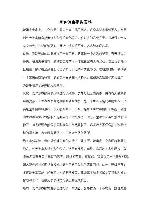 家乡调查报告楚雄