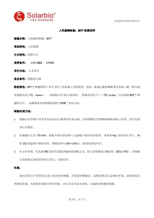 人乳腺癌细胞;MCF7贴壁培养