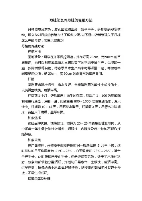 丹桂怎么养丹桂的养殖方法