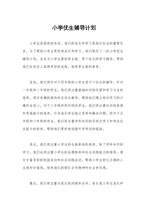 小学优生辅导计划
