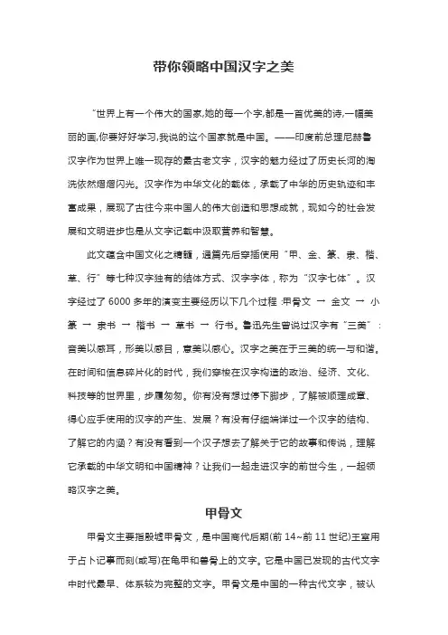 带你领略中国汉字之美和汉字演变史