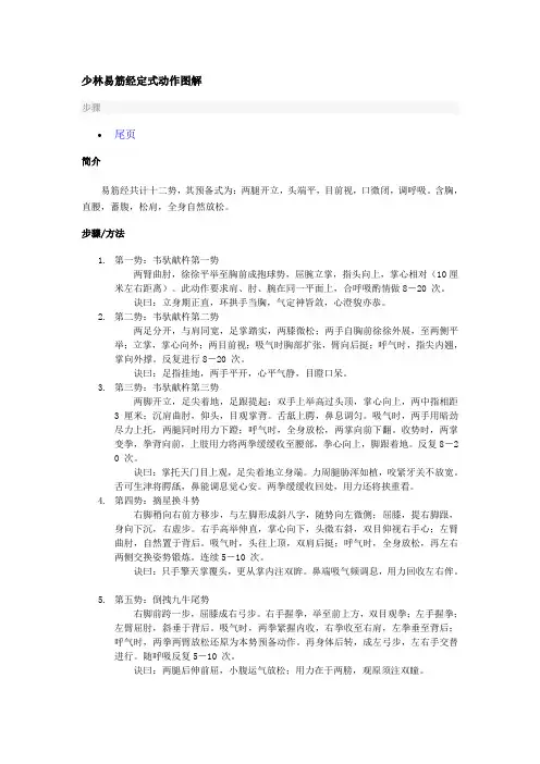 少林易筋经定式动作图解